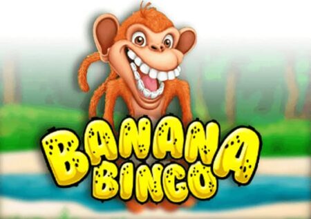 Banana Bingo : Analyse complète du jeu