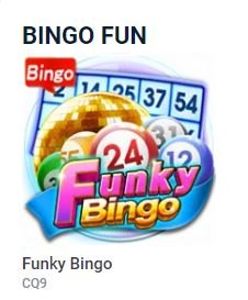 bingo fun