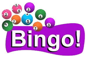 le Vidéo Bingo en Ligne