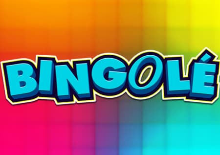 Bingole : Revue complète du jeu