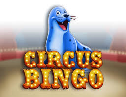 Circus Bingo : Revue complète du jeu