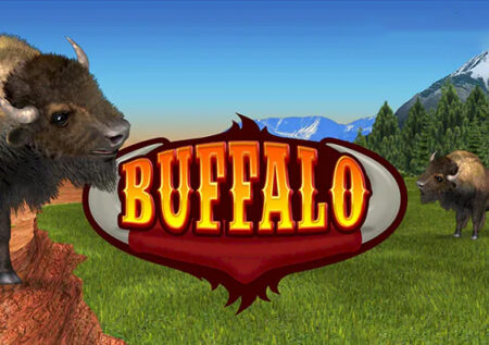 Buffalo Bingo : Revue complète du jeu