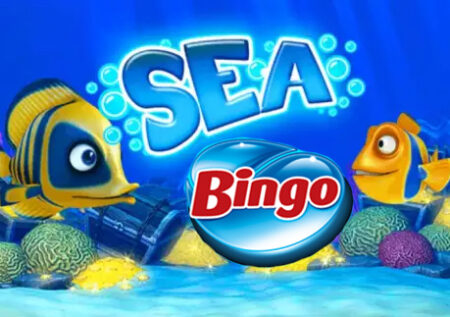 Sea bingo : Revue complète du jeu