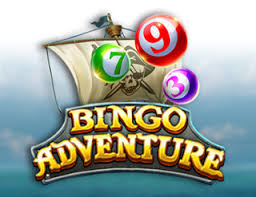 Bingo Adventure : Critique complète du jeu
