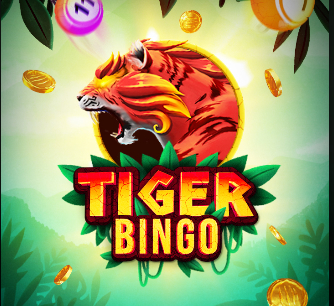 Tiger Bingo : une analyse complète du jeu